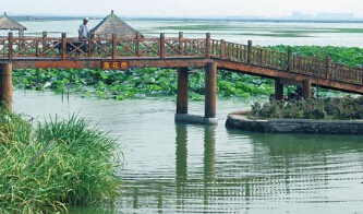 阳澄湖吃蟹一日游 阳澄湖莲花岛图片