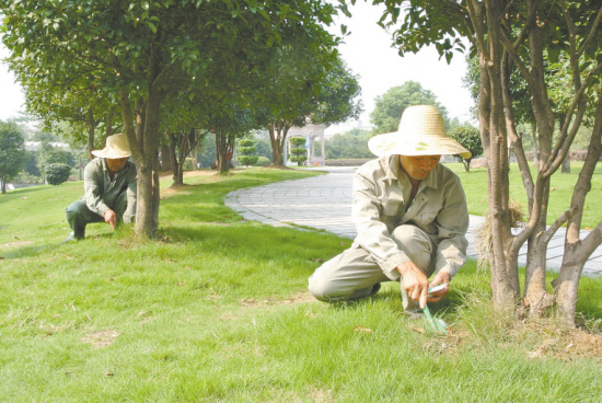 深圳市深圳龙华哪里有杀蟑螂公司厂家