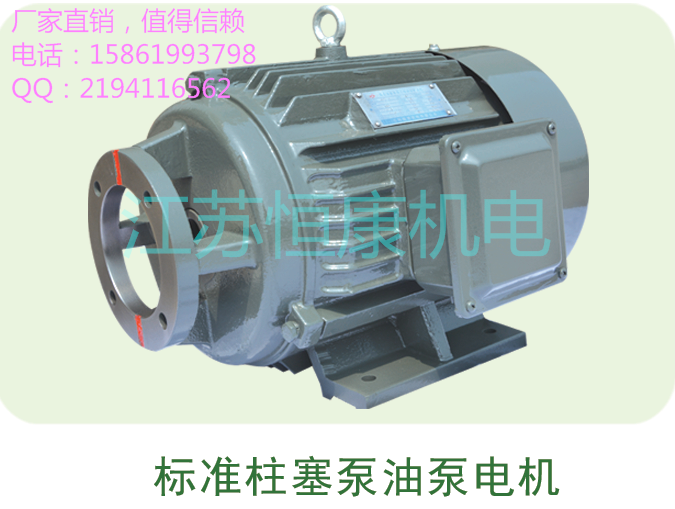 供应油泵电机 内插式电机 直联电机图片