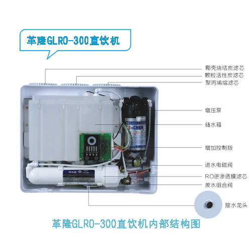 供应净水机代理加盟革隆GLRO-300净水器无压力桶内置水箱更安全净水器招商加盟十大品牌支持小批量批发图片