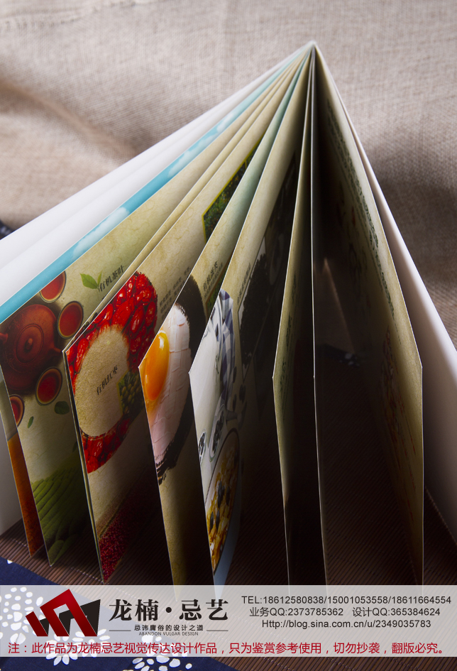 期刊設(shè)計(jì)圖片/期刊設(shè)計(jì)樣板圖 (2)