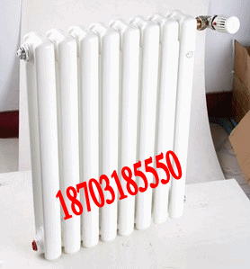 鋼二柱5025 鋼制暖氣片6030散熱器圖片/鋼二柱5025 鋼制暖氣片6030散熱器樣板圖 (2)