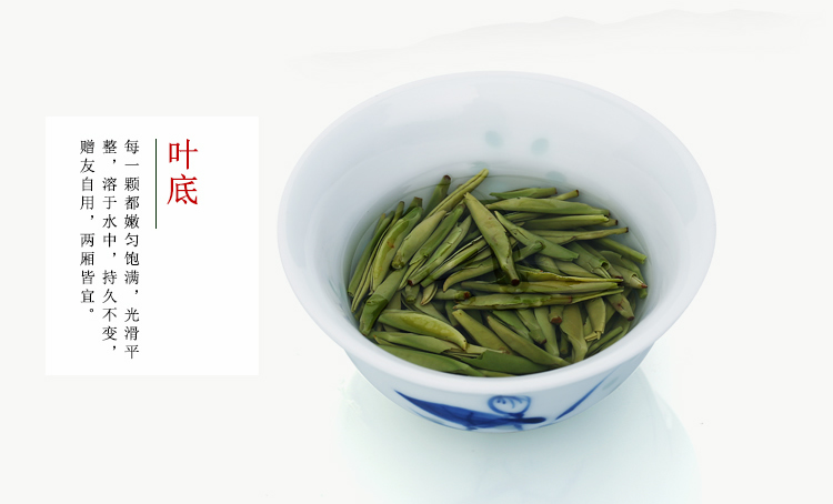 成都市成都<叙府春芽>2015雀舌绿茶50g厂家供应成都<叙府春芽>2015雀舌绿茶50g明前炒清绿茶价格