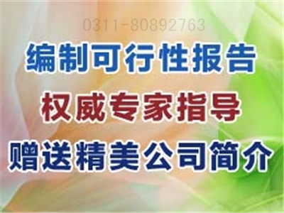 石家莊化工可行性研究報(bào)告范文編寫(xiě)圖片/石家莊化工可行性研究報(bào)告范文編寫(xiě)樣板圖 (4)