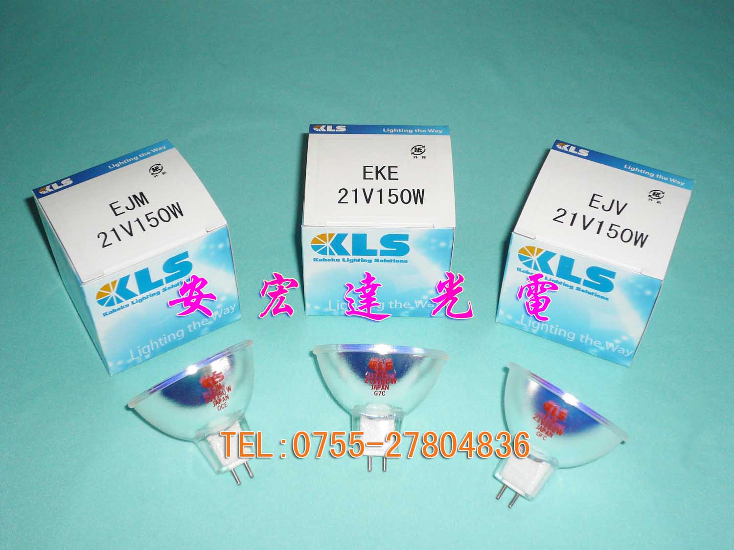 日本KLS鹵素杯燈 EJM 21V150W圖片/日本KLS鹵素杯燈 EJM 21V150W樣板圖 (3)