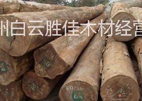 供应用于建筑|家具|工艺雕刻的莫桑比克柚木原木图片