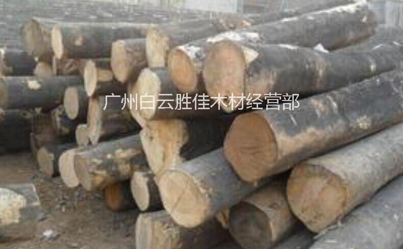 供应用于建筑|家具|工艺雕刻的俄罗斯杨木原木