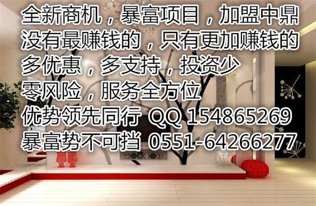 供应墙艺漆中鼎墙艺漆加盟小本投资利润丰厚刷出来的财富图片