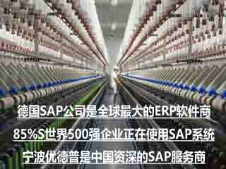 供应纺织行业ERP系统纺织行业ERP方案宁波优德普SAP代理商图片