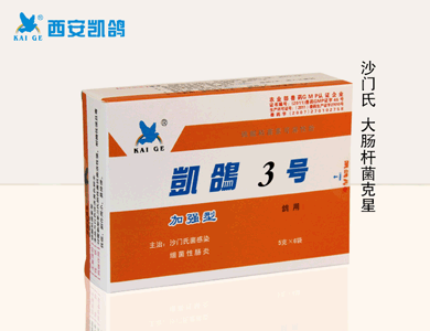 鴿藥,【凱鴿3號】圖片