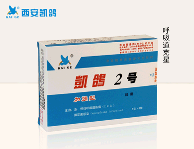 鴿藥圖片/鴿藥樣板圖 (1)