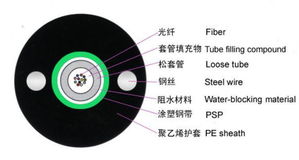 供应12芯中心束管式重铠光缆