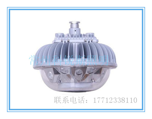 厂房炉本体、锅炉房、廊道、栈桥、炉本体、煤仓内等场所固定照明LZY8610LED防眩平台灯图片