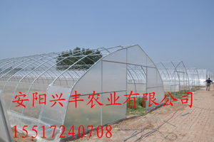 供应用于温室大棚建造的简易拱棚