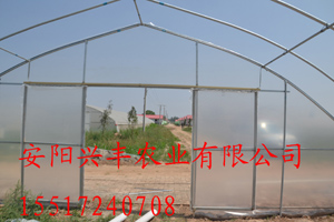 简易拱棚供应用于温室大棚建造的简易拱棚