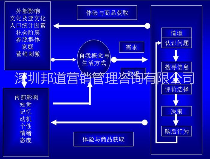 供应用于营销管理咨询|市场调研分析的消费者行为习惯调研分析图片