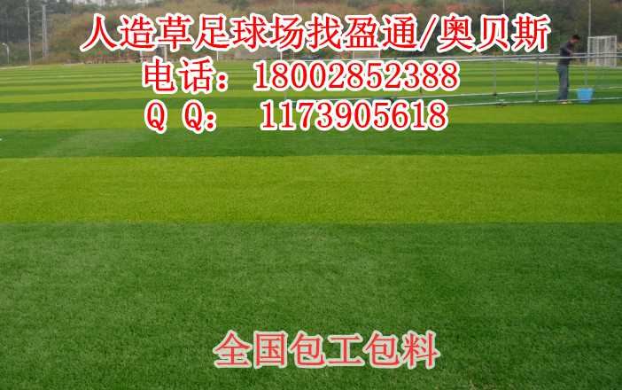 供应文登市荣成市日照市足球草坪足球场文登市荣成市日照市足球草坪足球场足球场草坪