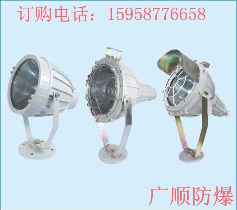 防爆投光燈BAT51系列防爆投光燈圖片