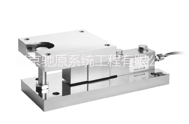 CY-SBW动载称重模块图片