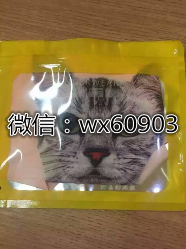 供应用于防走光的猫猫防走光内裤