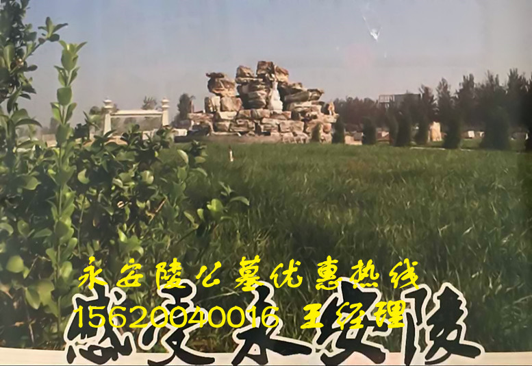永安陵公墓天津墓地圖片