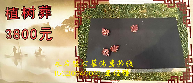 天津靜海永安陵園公墓圖片