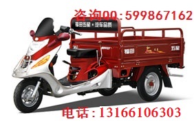 福田五星110ZY(ZP)三輪老圖片/福田五星110ZY(ZP)三輪老樣板圖 (1)