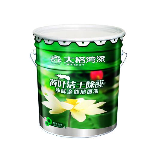 荷叶洁王除醛净味全能墙面漆图片