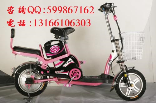 愛瑪14mini電動(dòng)車圖片