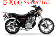 豪爵HJ125-8E太子摩托車圖片/豪爵HJ125-8E太子摩托車樣板圖 (1)