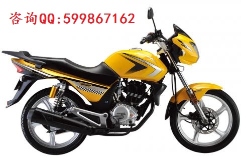 供應宗申傳奇摩托車 山地車