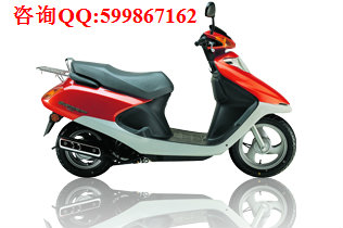 本田喜悅100圖片/本田喜悅100樣板圖 (1)