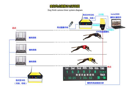 供应标准赛狗比赛专用测试仪器