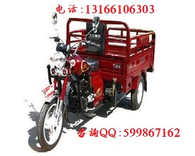 大江風(fēng)暴Ⅱ代125三輪摩托車圖片