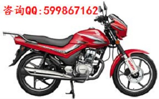 新大洲本田SDH125-50金鋒圖片