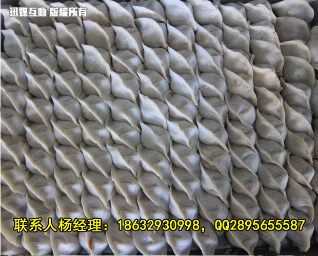 揚(yáng)州新款餃子機(jī)價(jià)格圖片