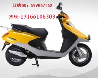 新大洲本田SDH100T-6 清圖片