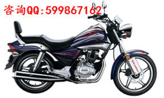 新大洲本田圖片/新大洲本田樣板圖 (1)