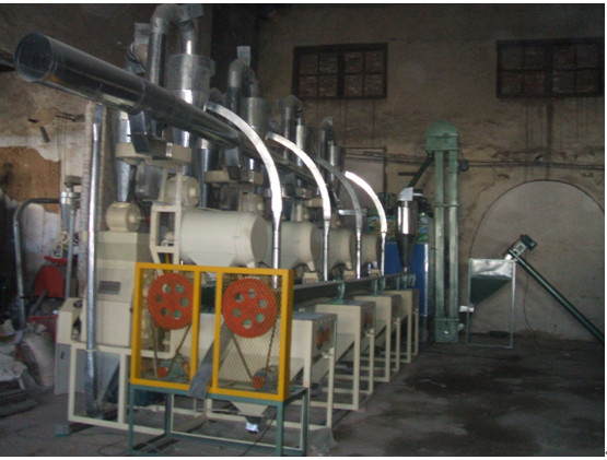 大型玉米制糝制面機(jī)組圖片