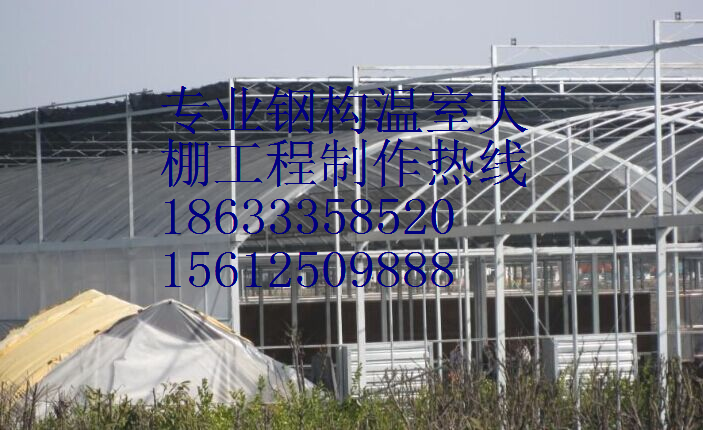 供应温室大棚建设，蔬菜大棚建设钢结构大棚施工，钢构大棚图纸设计，找金诺蔬菜大棚建设公司图片