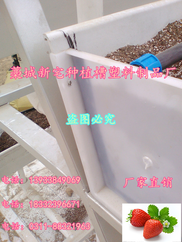 無土栽培槽圖片/無土栽培槽樣板圖 (3)