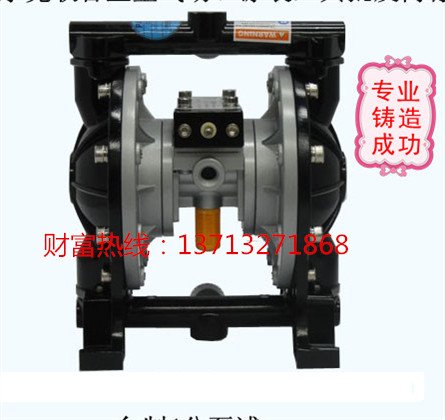 气动隔膜泵图片