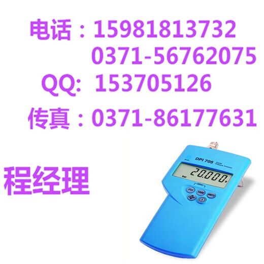 壓力指示儀DPI705圖片