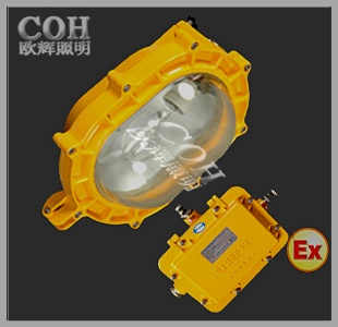 供应正辉BYC6120内场防爆泛光灯/BYC6120价格图片