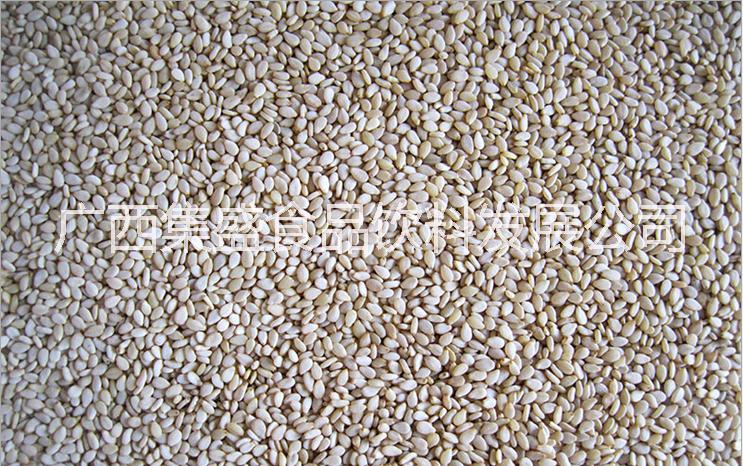 黑芝麻圖片/黑芝麻樣板圖 (4)