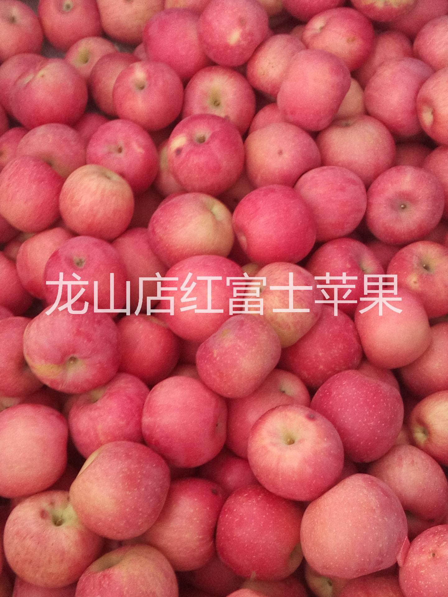 蓬萊龍山店蘋(píng)果代辦圖片/蓬萊龍山店蘋(píng)果代辦樣板圖 (4)