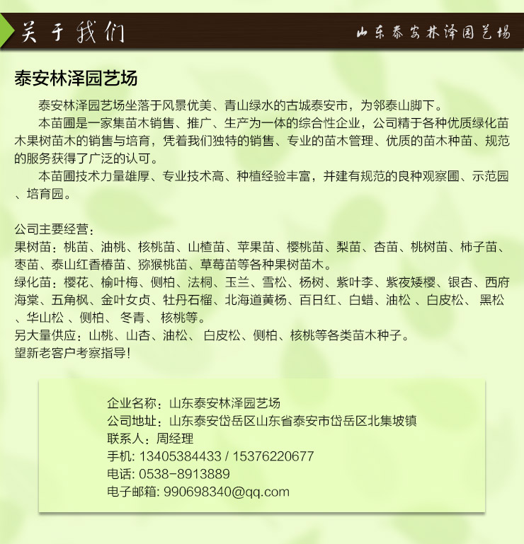 供应桃树苗基地桃树怎么价格 自产直销桃树嫁接苗