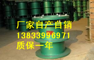 供应用于建筑的东阳柔性防水套管报价dn65L=300  钢性防水套管S404