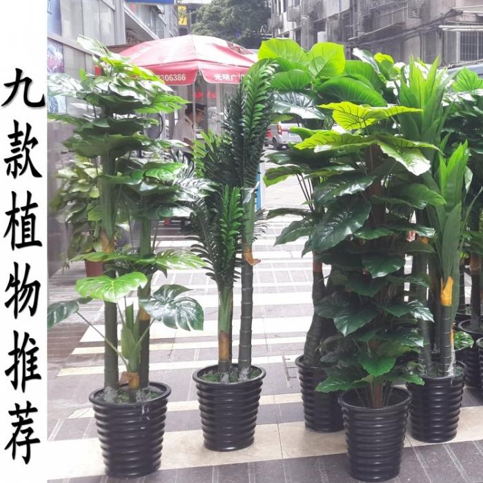 供应仿真盆栽仿真树假树假植物护眼绿植家居办公摆设图片