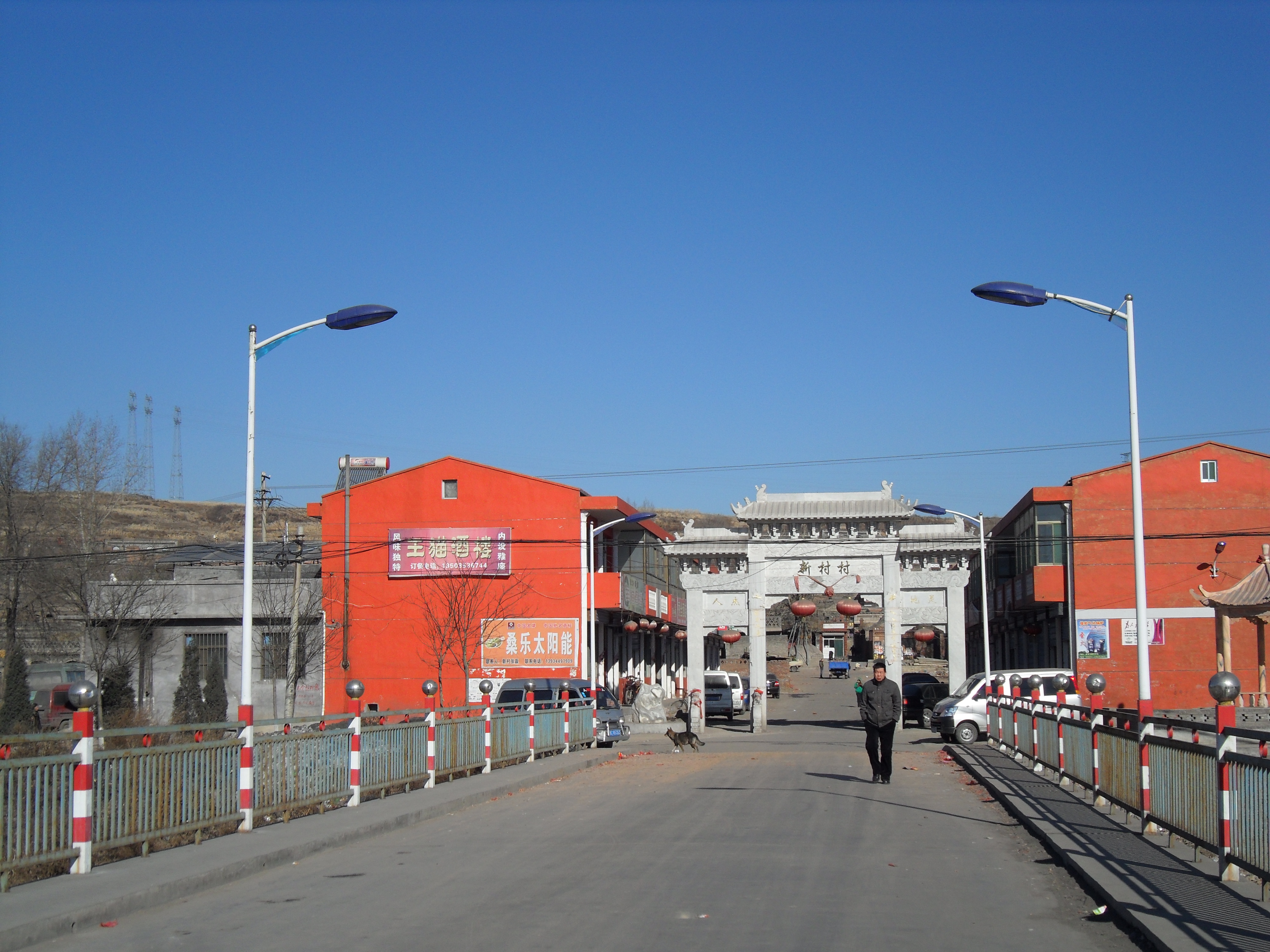 供应承德市太阳能LED路灯太阳能庭院灯图片